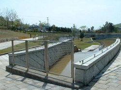 cc00511.jpg